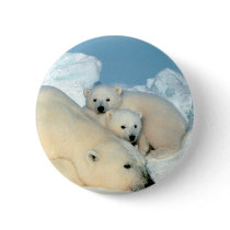 Polar Bear Family Button