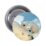 polar bear, polar bear family, white polar bear, white polar bears, polar bears, beautiful polar bears, gorgeous polar bears, i love polar bears, i heart polar bears, polar bear lover, polar bear enthusiast, polar bear fanatic, cute polar bears, cuddling polar bears, studying polar bears, obseving polar bears, researching polarbears, polar bear wildlife refuge, polar bear refuge, protecting polar bears, polar bear preserve, polar bear wildlife preserve, saving polar bears, save the polar bears, fluffy polar bears