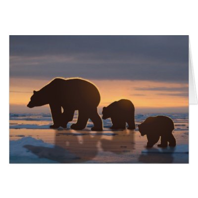 Polar Bear family Greeting Card