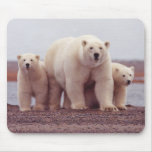 Polar Bear Family Use Pad Polar Bear Family Use Pad