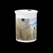polar bear family on ice pitchers