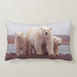 Polar Bear Family Throw Pillows Polar Bear Family Throw Pillows