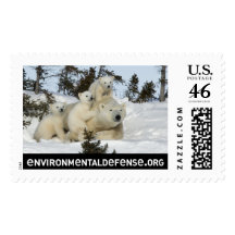 Polar Bear Family Postage Stamps