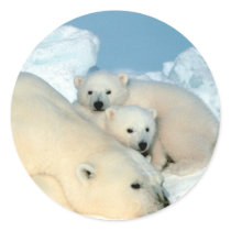 Polar Bear Family Round Sticker
