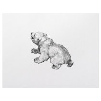 POLAR BEAR flyers