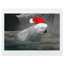 Polar Bear flyers