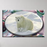 Polar Bear framed print #3