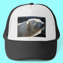 Polar Bear hats by Artists4God Polar Bear hats