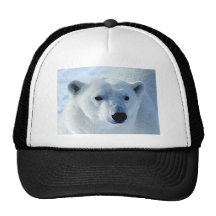 Polar Bear Hat