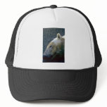 Polar Bear Head, Asleep Trucker Hat