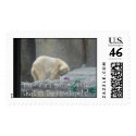 Polar Bear, How am I going to fit that in the e... postage