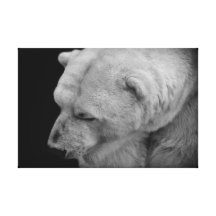 Polar Bear in Black and White Gallery Wrap Canvas