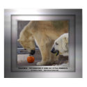 Polar Bear in Frame posters