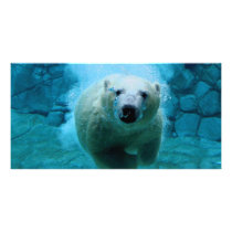Polar Bear In Water Photo Greeting Card