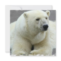 Polar Bear Invitation