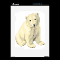 Polar bear skins