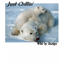 Polar Bear Just Chillin' Gifts t-shirts by WildByDezign Polar Bear Just Chillin' Gifts t-shirts