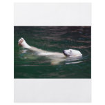 Polar bear just lazing flyer