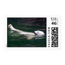 Polar bear just lazing postage stamps