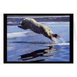 Polar Bear Leap Note Card