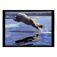 Polar Bear Leap Note Card