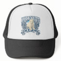 Polar Bear Massachusetts hats by Greenpridepolarbear Polar Bear Massachusetts hats