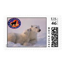 Polar Bear Mom and Cub postage