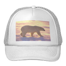 Polar Bear Morn 3 Mesh Hats