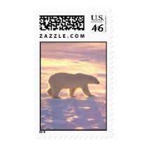 Polar Bear Morn 3 Postage