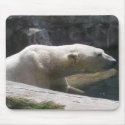 Polar Bear mousepads by jbhadley Polar Bear mousepads