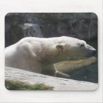 Polar Bear mousepads by jbhadley Polar Bear mousepads