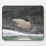 Polar Bear Mousepad mousepads