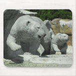 Polar Bear Mousepad