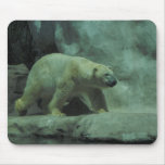 Polar Bear Mousepad
