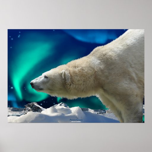 Polar Bear & Northern Lights Wildlife Art Poster Zazzle