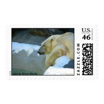 Polar Bear on a Hot Day postage by prsuncom Polar Bear on a Hot Day postage