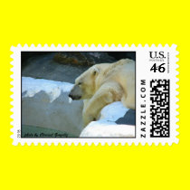 Polar Bear on a Hot Day postage