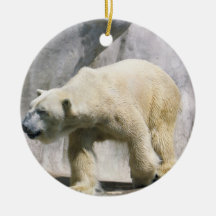 Polar Bear  Ornament