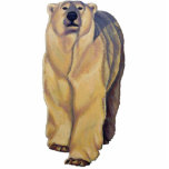 Polar Bear Photo Sculpture Wildlife Art Gifts