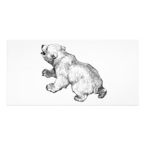 POLAR BEAR photo cards by wolfandbird POLAR BEAR photo cards