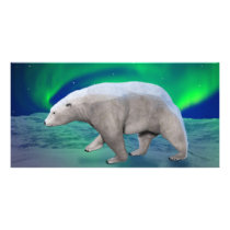 Polar Bear Personalized Photo Card