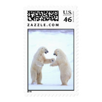 Polar Bear Play Postage