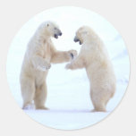 Polar Bear Play Stickers