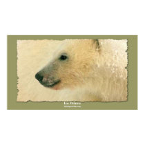Polar Bear Portrait Art Poster posters