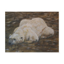 Polar Bear Post Card postcards