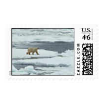 Polar Bear Stamps