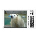 polar bear postage