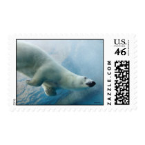 Polar Bear Postage Stamp