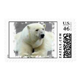 Polar Bear Postage Stamp