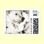 Polar Bear Postage Stamps stamps